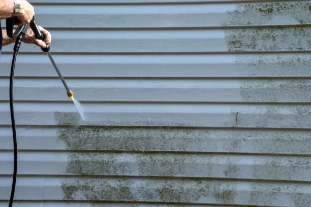 Best Hoarding Cleanup  in Goodwater, AL